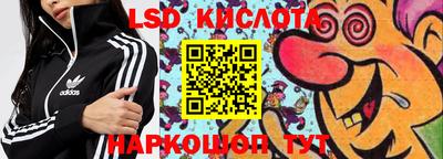 индика Ногинск