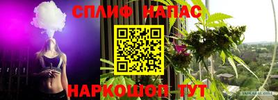 jwh Новоалександровск
