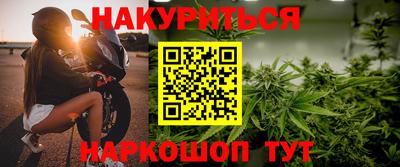 прущие грибы Норильск