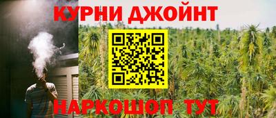 индика Ногинск