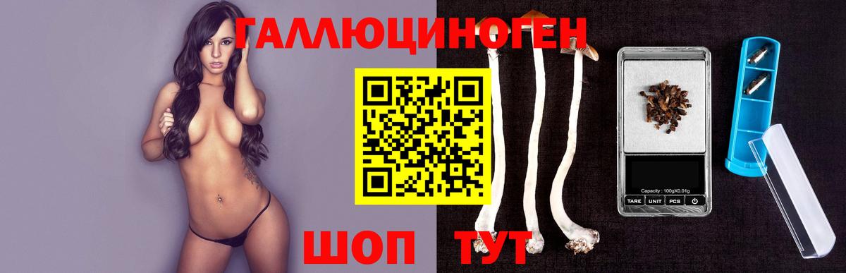Луга  Псилоцибиновые грибы Psilocybe  Вход с VPN 